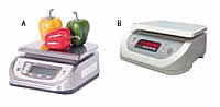 Portion Scales Electronic